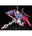 1/144 RG DESTINY GUNDAM ZGMF-X42S