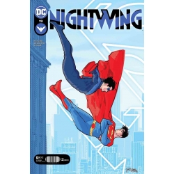Nightwing 13