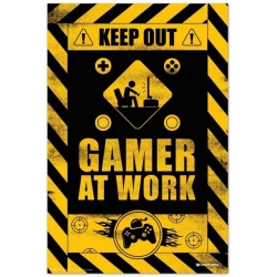 Keep Out Gamer At Work...
