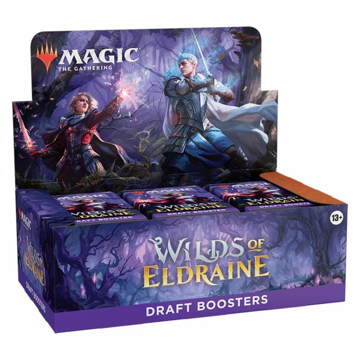 Draft Booster Box Wilds of...