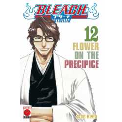 Bleach Bestseller 12