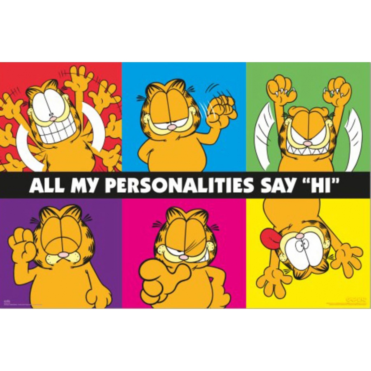 Garfield Póster 25 (60x91,5...