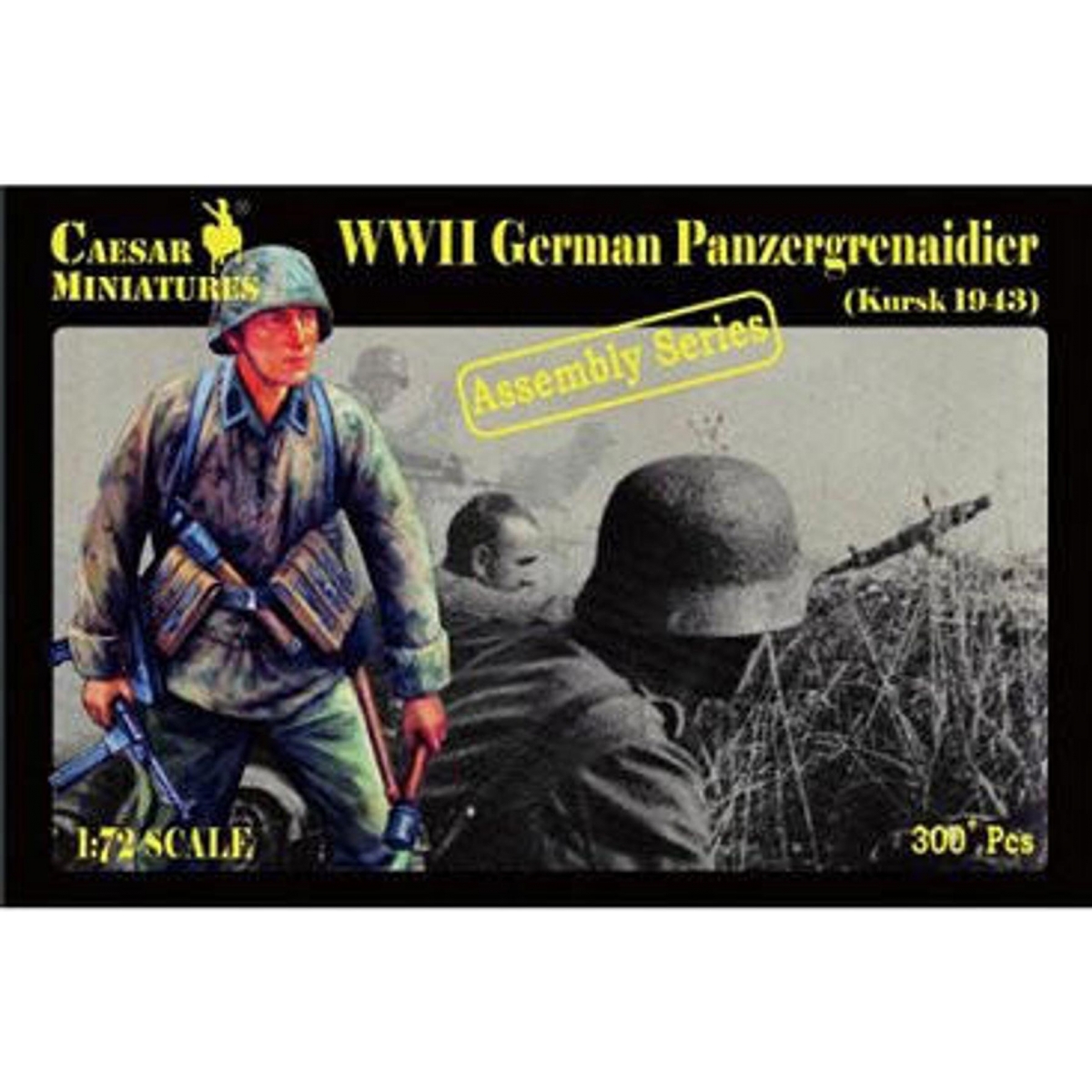 WWII German...