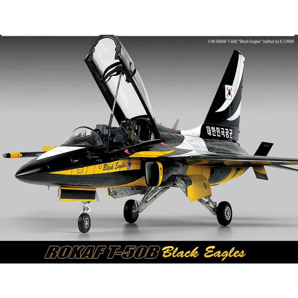 Rokaf T-50B Black Eagles...