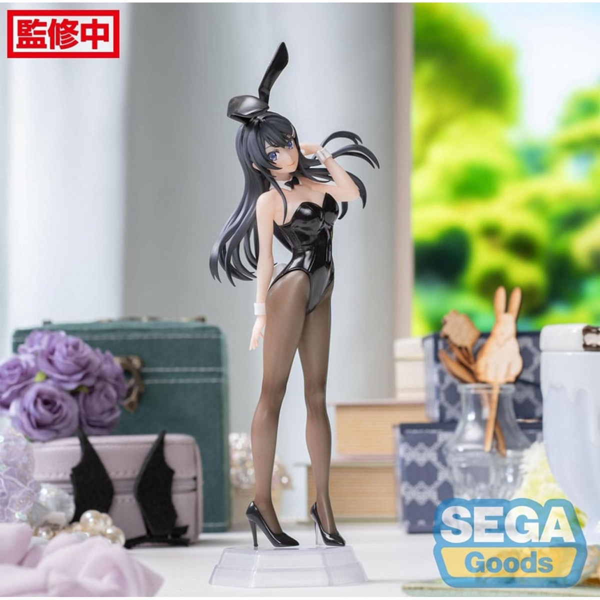 Mai Sakurajima Rascal Does...