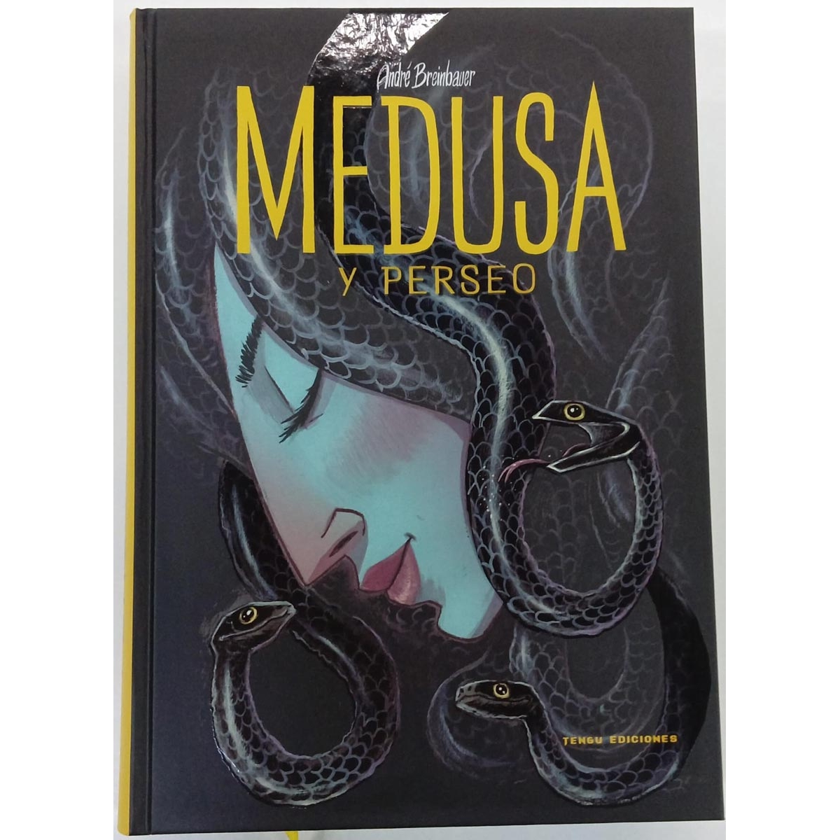 Medusa y Perseo (Segunda Mano)