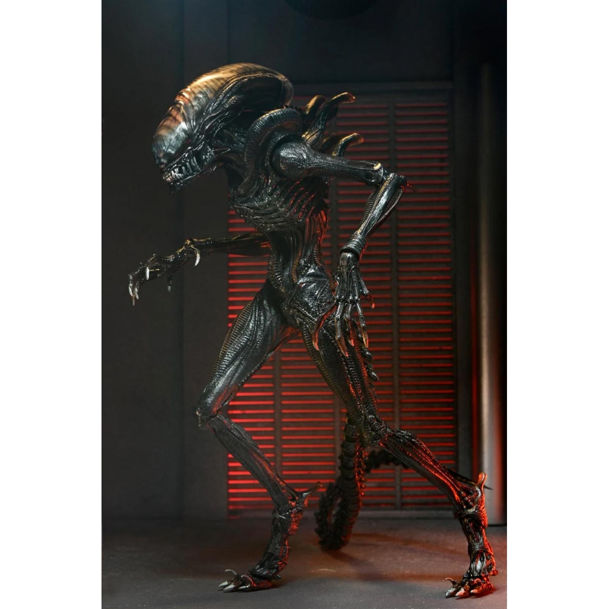 Scorched Xenomorph Alien:...