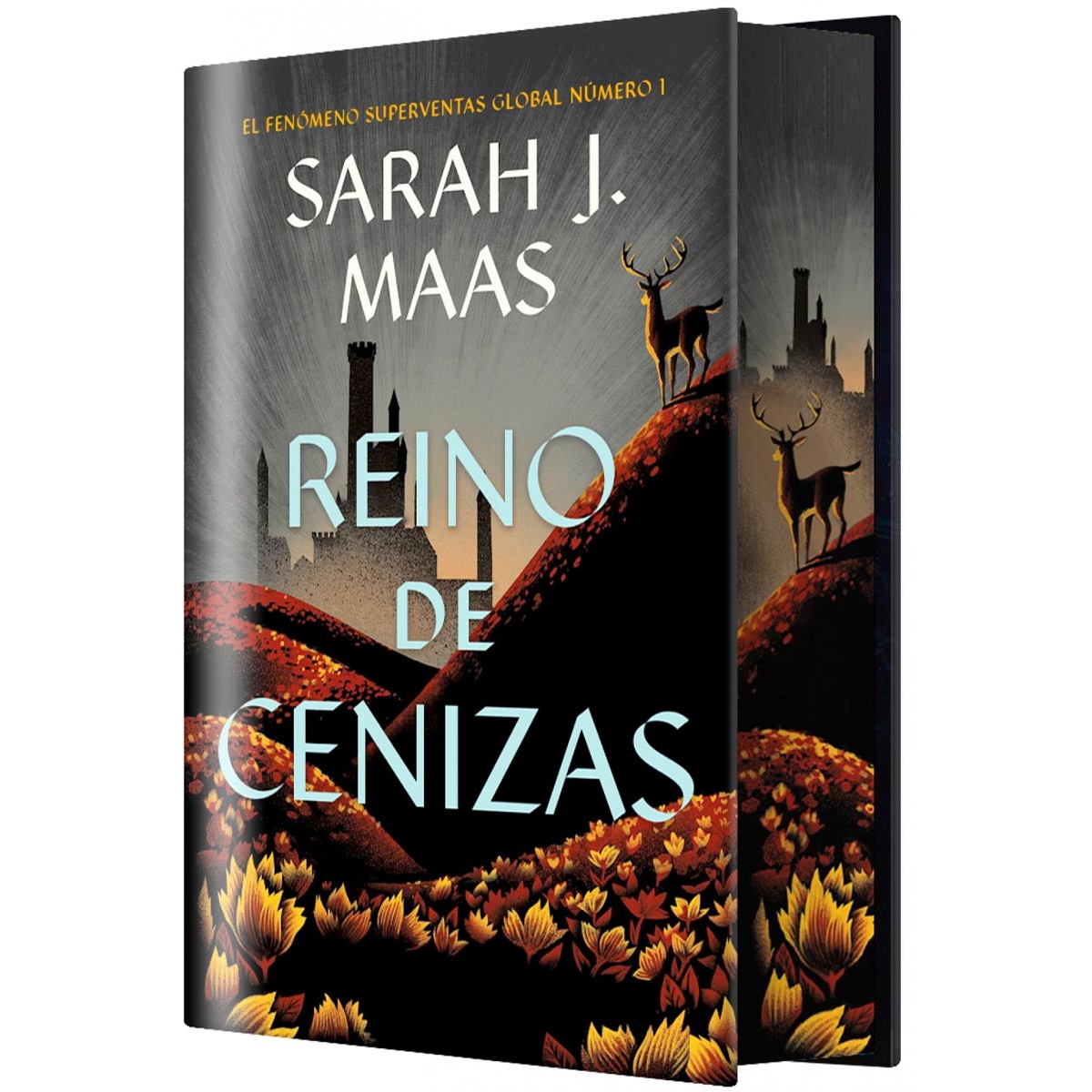Reino de Cenizas (Edicion...