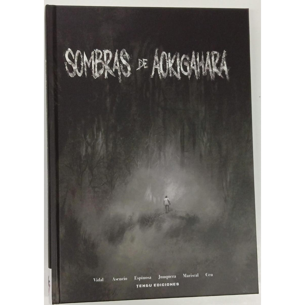 Sombras de Aokigahara...
