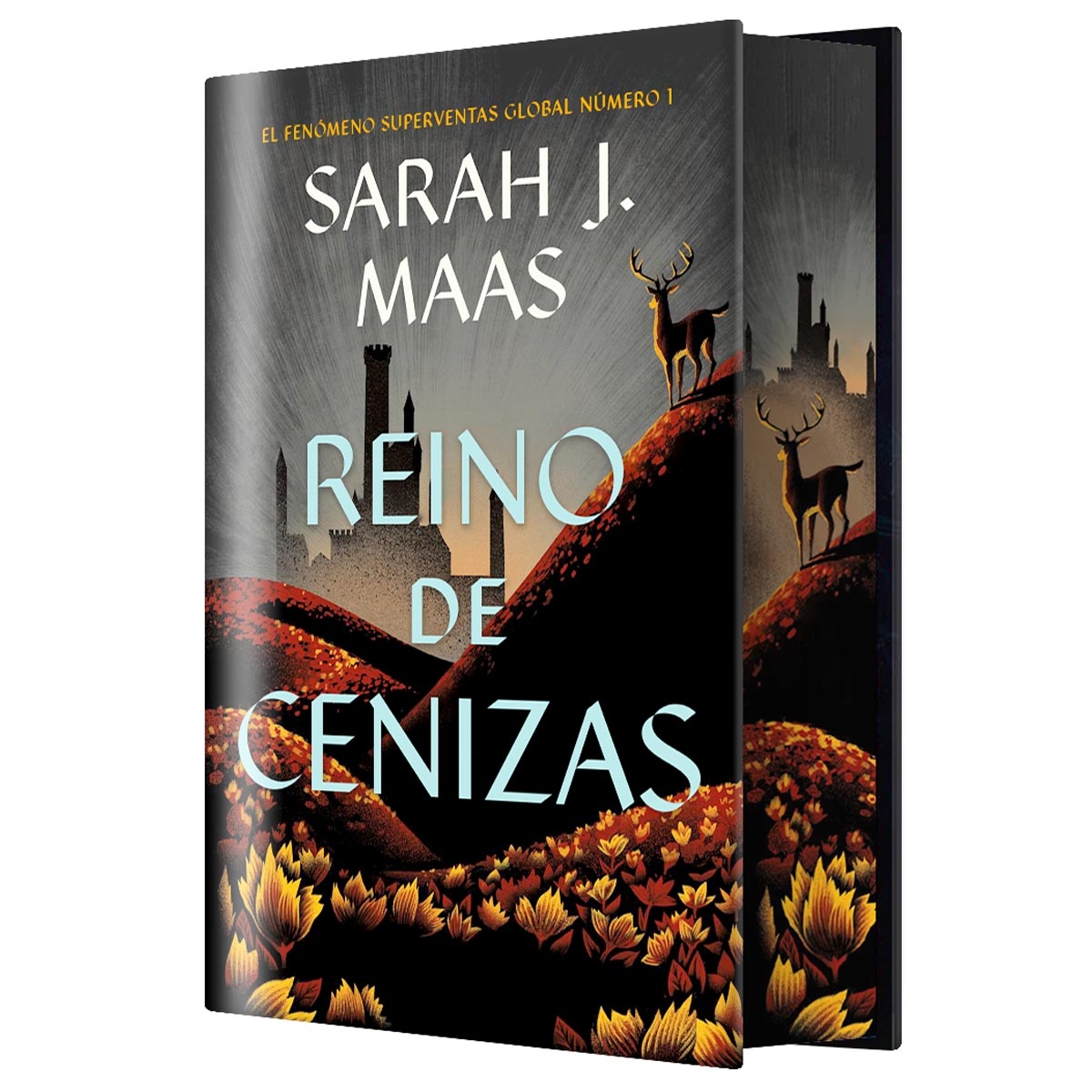 Reino de Cenizas (Edición...