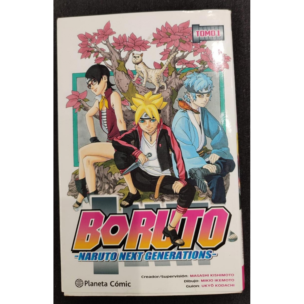 Boruto 01 (Segunda Mano)