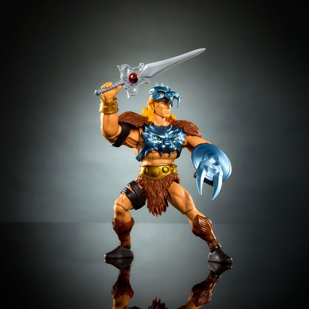 He Man Masters of the...